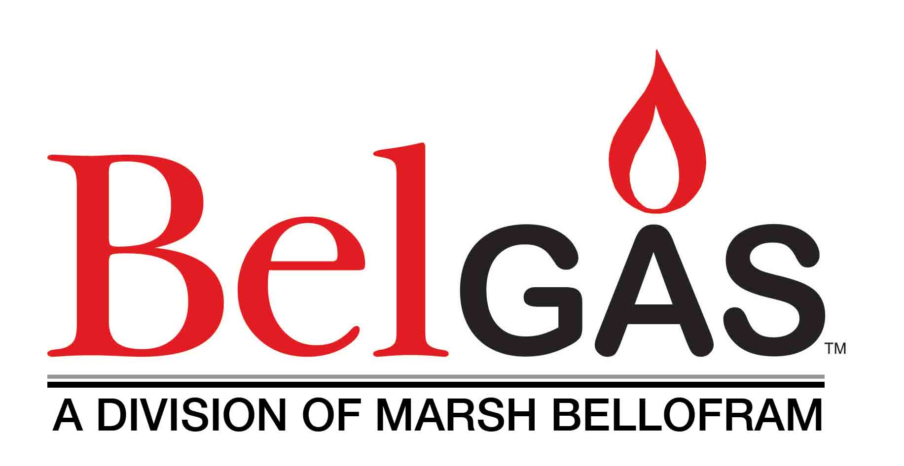 Logo of BelGas, linking to a page about the manufacturer and our offering